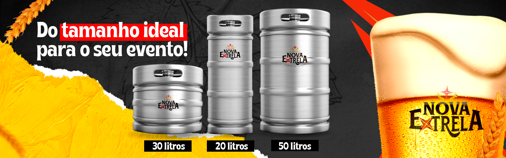 Do tamanho ideal para o seu evento — barris de 30, 20 e 50 litros